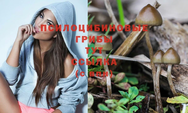 ECSTASY Слюдянка